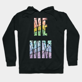 Rainbow he/him pronoun pride Hoodie